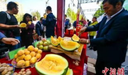 吃瓜最新事件爆料青岛,揭秘吃瓜群众最新热议事件